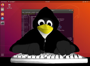 Erste Schritte im Ubuntu-Linux